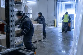 Dans la chambre froide d’un entrepôt frigorifique, des préparateurs en combinaison grand froid montent des palettes
